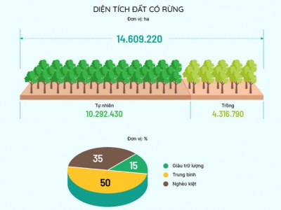Mục tiêu trồng một tỷ cây xanh rất khả thi