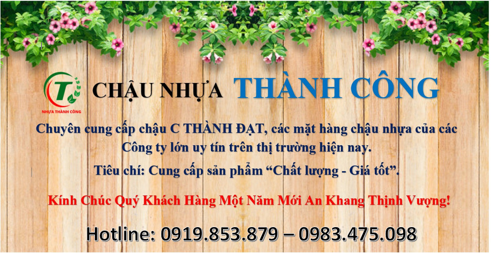 Khuyến mãi tháng 5