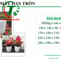 Chậu mây đan tròn 4