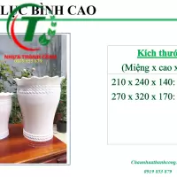 Chậu Lục Bình cổ cao 1