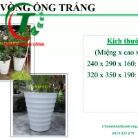 Chậu vòng ống trắng