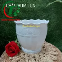 Chậu bom lùn ( mẫu mới )