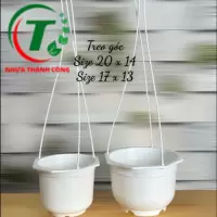 CHẬU TREO GÓC LỚN - NHỎ GIÁ SỈ
