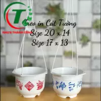 CHẬU TREO CÁT TƯỜNG LỚN - NHỎ GIÁ SỈ