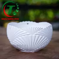CHẬU TREO SÒ ĐỦ MÀU GIÁ SỈ 