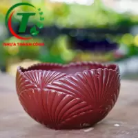 CHẬU TREO SÒ ĐỦ MÀU GIÁ SỈ 