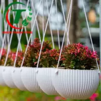 CHẬU TREO SỌC ĐỦ MÀU GIÁ SỈ