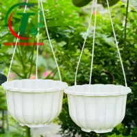 CHẬU TREO BÍ GIÁ SỈ