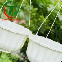 CHẬU TREO BÍ GIÁ SỈ