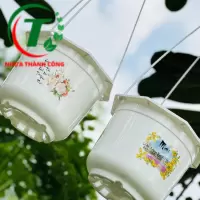 CHẬU TREO IN BỐN MÙA