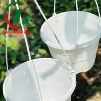 CHẬU TREO SÓNG BIỂN