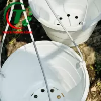 CHẬU TREO SÓNG BIỂN