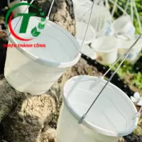 CHẬU TREO SÓNG BIỂN