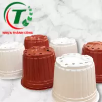 Chậu có vành TTK size 200