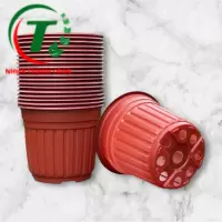 Chậu có vành size 180