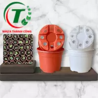 Chậu có vành TTK 105 