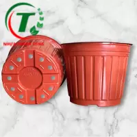Chậu nhựa có vành size 350