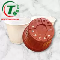 Chậu có vành size 260