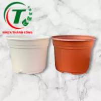 Chậu có vành TTK 105 