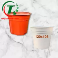 Chậu có vành TTK 120 