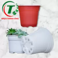 Chậu có vành TTK 120 
