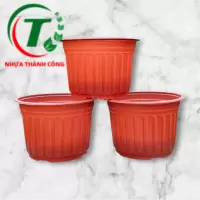 Chậu có vành size 260