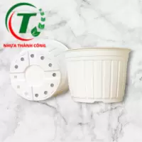 Chậu có vành TTK size 300