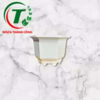 CHẬU LỤC GIÁC 210