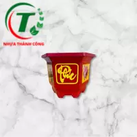 CHẬU LỤC GIÁC 210