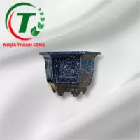 CHẬU LỤC GIÁC 250