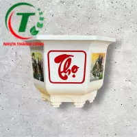 CHẬU LỤC GIÁC 380 