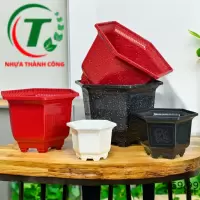 CHẬU LỤC GIÁC