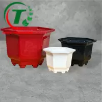 CHẬU LỤC GIÁC