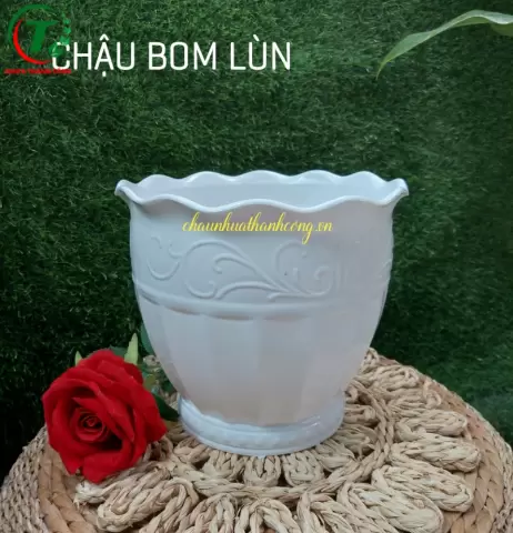 Sản phẩm Chậu bom lùn ( mẫu mới )