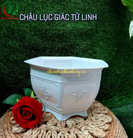 Sản phẩm Chậu lục giác tứ linh ( mẫu mới )