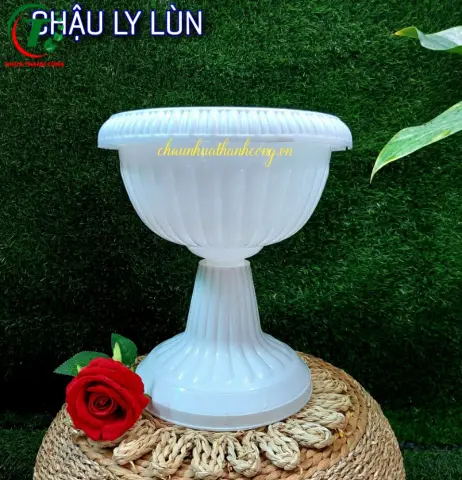 Sản phẩm Chậu ly lùn ( mẫu mới )