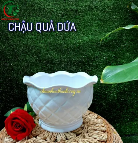 Sản phẩm Chậu quả dứa (mẫu  mới )