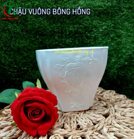 Sản phẩm Chậu vuông bông hồng ( mẫu mới )