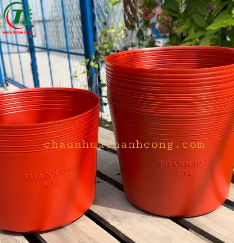 Sản phẩm Chậu Đỏ C11