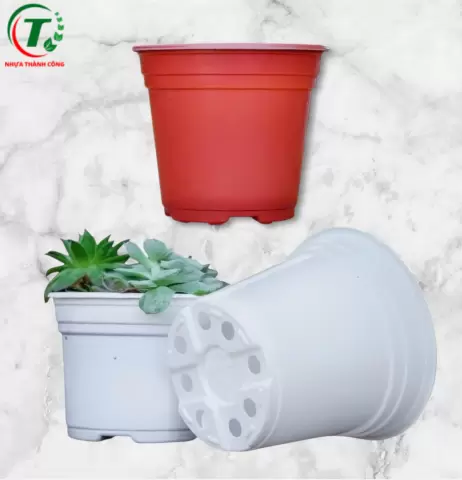 Sản phẩm Chậu có vành TTK 120 