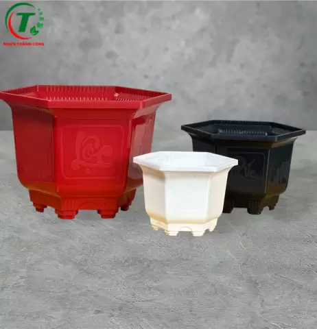 Sản phẩm CHẬU LỤC GIÁC
